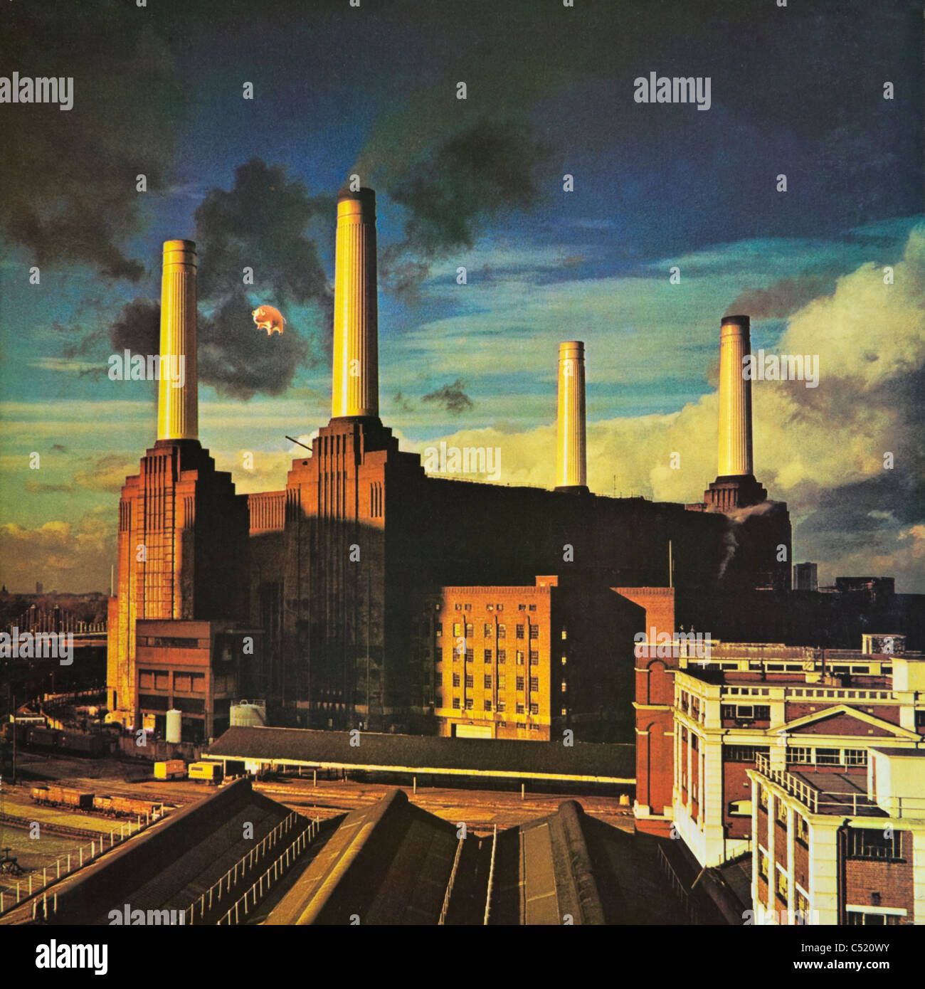 Pink Floyd Animals Album Cover Pink Floyd Animals Album Cover