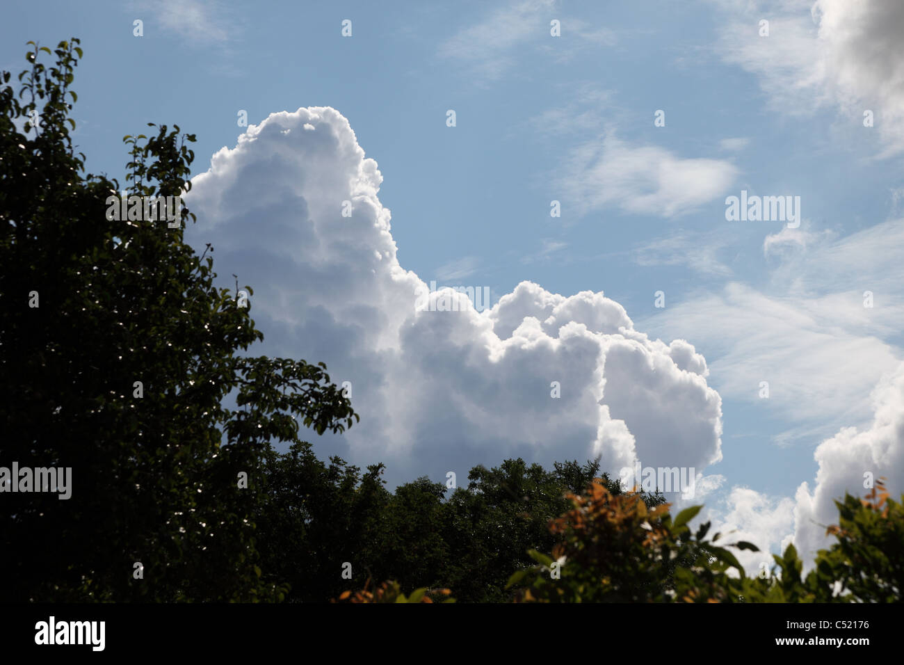 Clouds mimicking tree outline Stock Photo