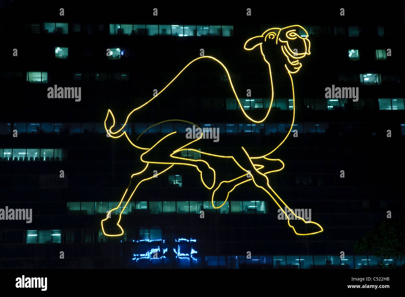 Camel neon sign on a high rise building hi-res stock photography and