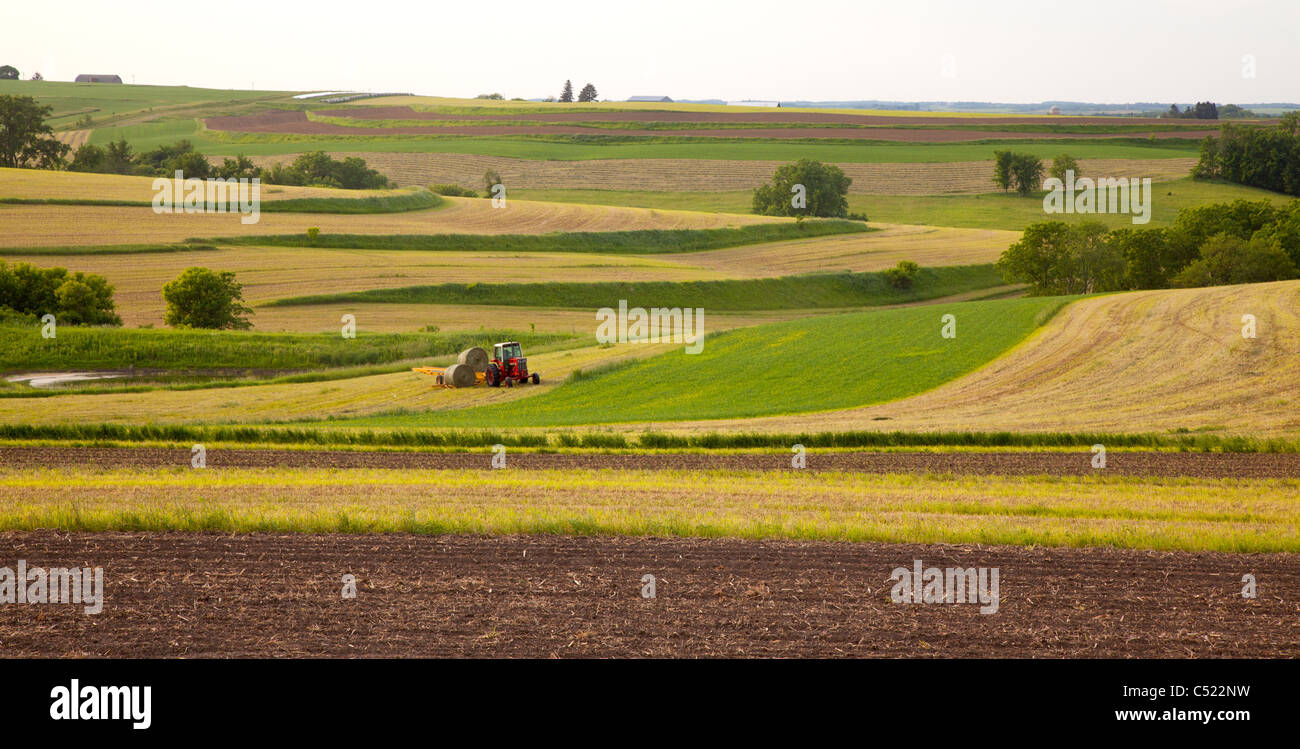 tractor retrieving rolls of bailed hay along the Driftless Area Scenic Byway, Allamakee County, Iowa Stock Photo