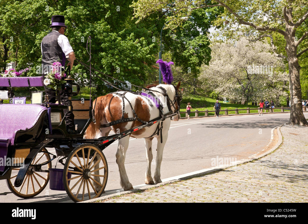 Horse Drawn Carriage Central Park Nyc Stock Photo Alamy