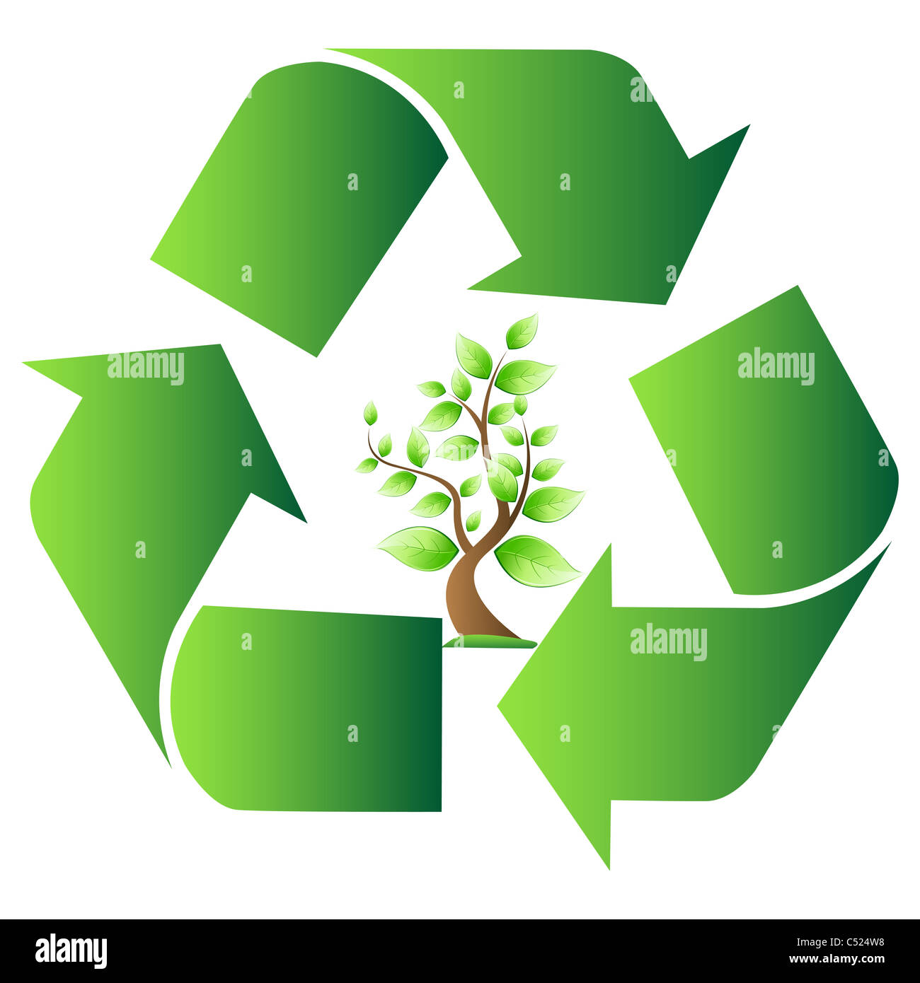 illustration of vector recycle symbol with tree on isolated background