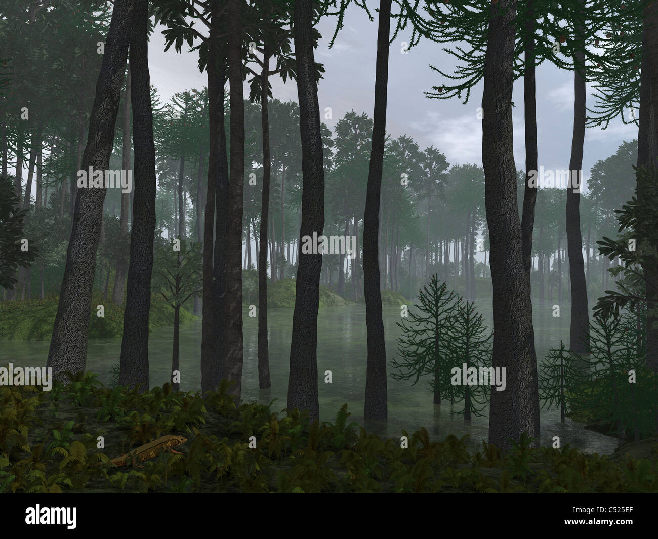 A forest of Cordaites and Araucaria. Stock Photo