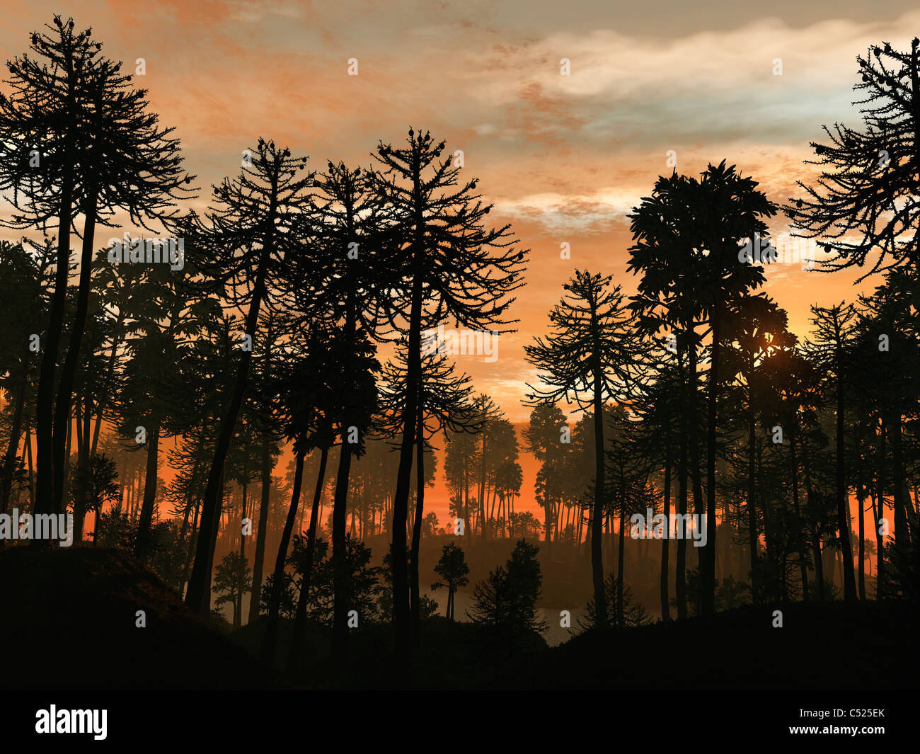 A forest of Cordaites and Araucaria silhouetted against a colorful sunset. Stock Photo