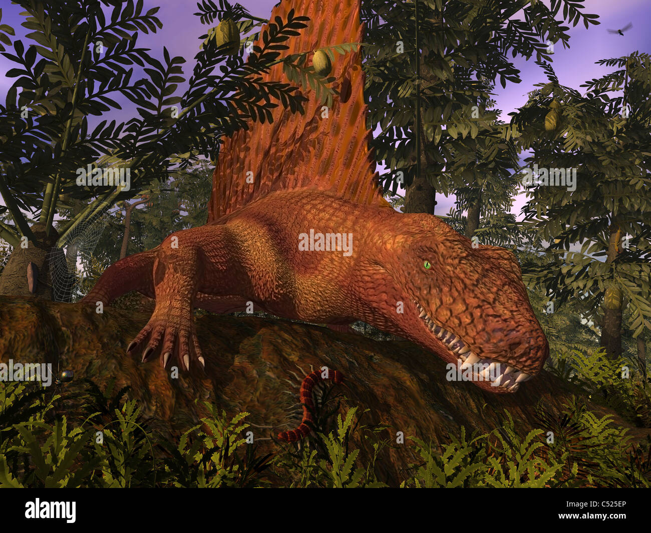 A Dimetrodon amongst Alethopteris ferns. Stock Photo