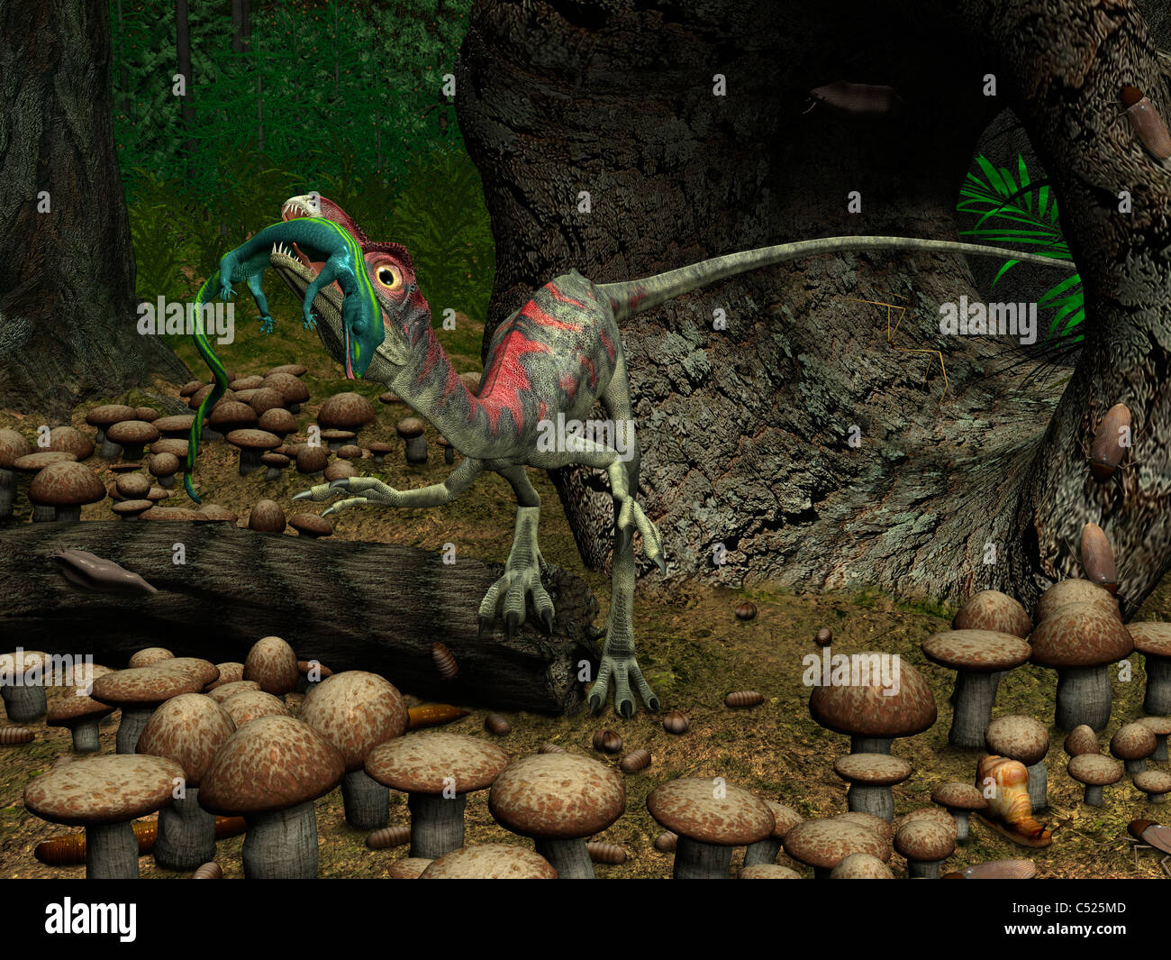 A Compsognathus prepares to swallow a small lizard. Stock Photo