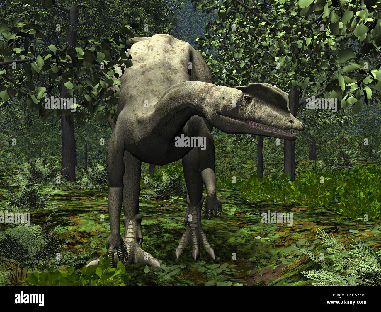A Dilophosaurus amidst Ginkgo trees. Stock Photo