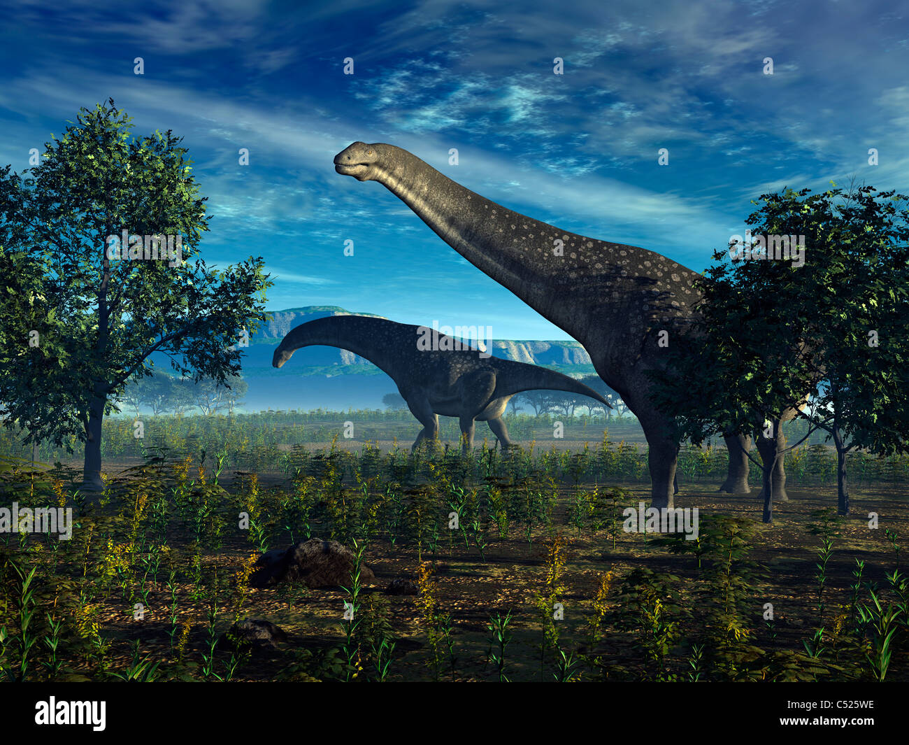 Isisaurus dinosaurs wander lush plains. Stock Photo