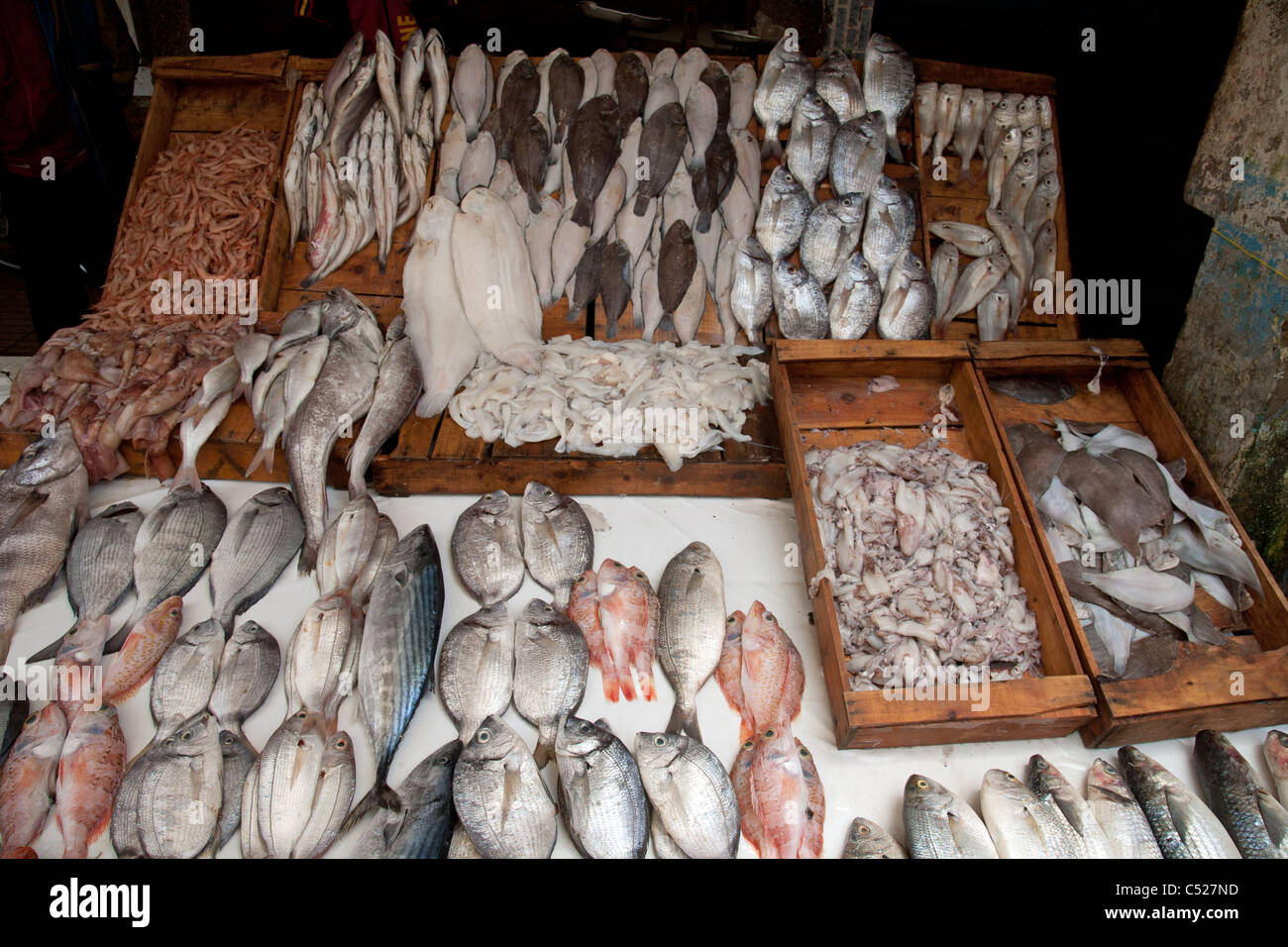 Fish market Essaouira Stock Photo Alamy