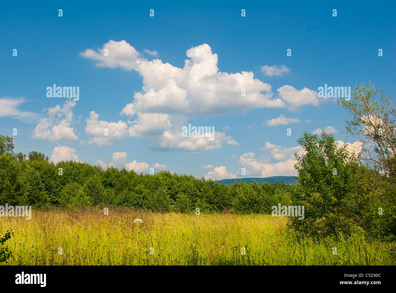 Summer landscape with blue sky with clouds Stock Photo - Alamy