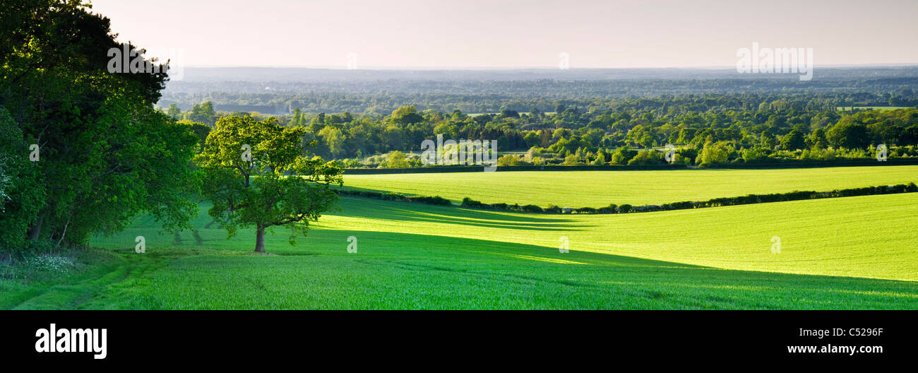 Farmland and countryside near Guildford, Surrey, UK. Stock Photo