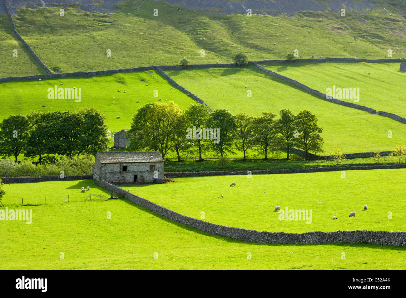 Barn and fields, Kettlewell, Yorkshire Dales National Park, UK. Stock Photo