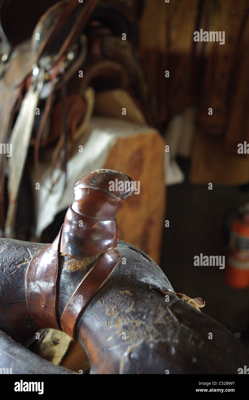 Saddle horn on old saddle Stock Photo Alamy
