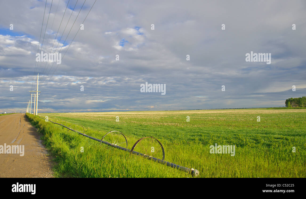 Irrigation pipes in Southern Alberta Canada Stock Photo Alamy