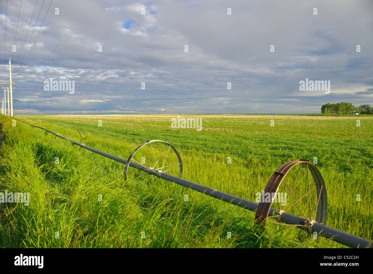 Irrigation pipes in Southern Alberta Canada Stock Photo Alamy