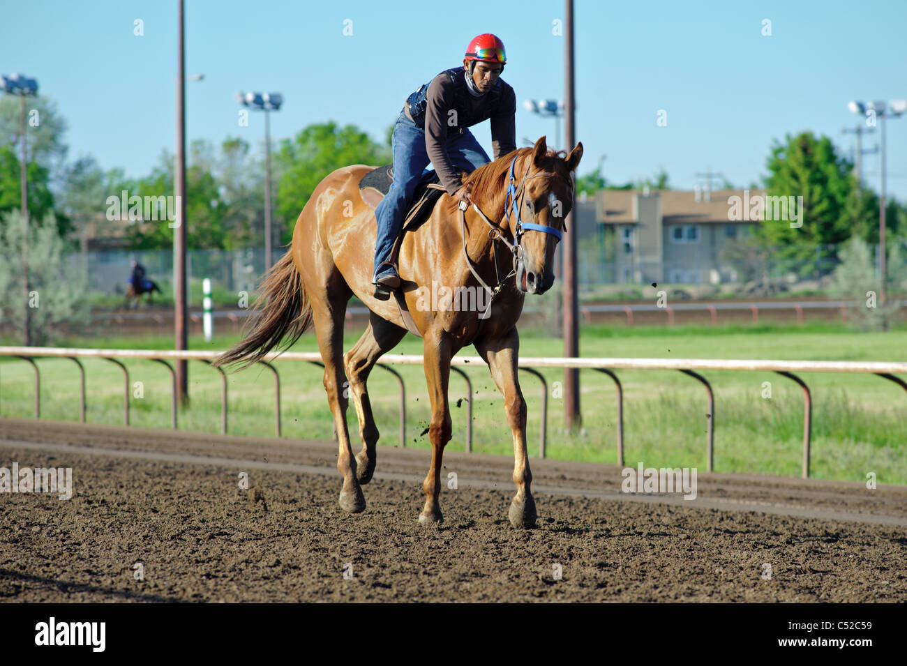 Jockeys training thoroughbred horses on track in Lethbridge Alberta