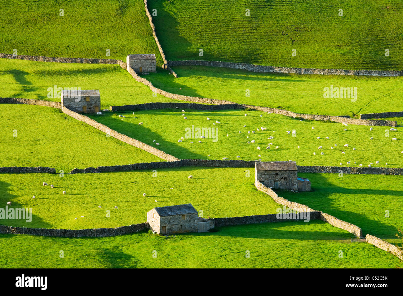 Gunnerside, Swaledale, Yorkshire Dales National Park, UK Stock Photo