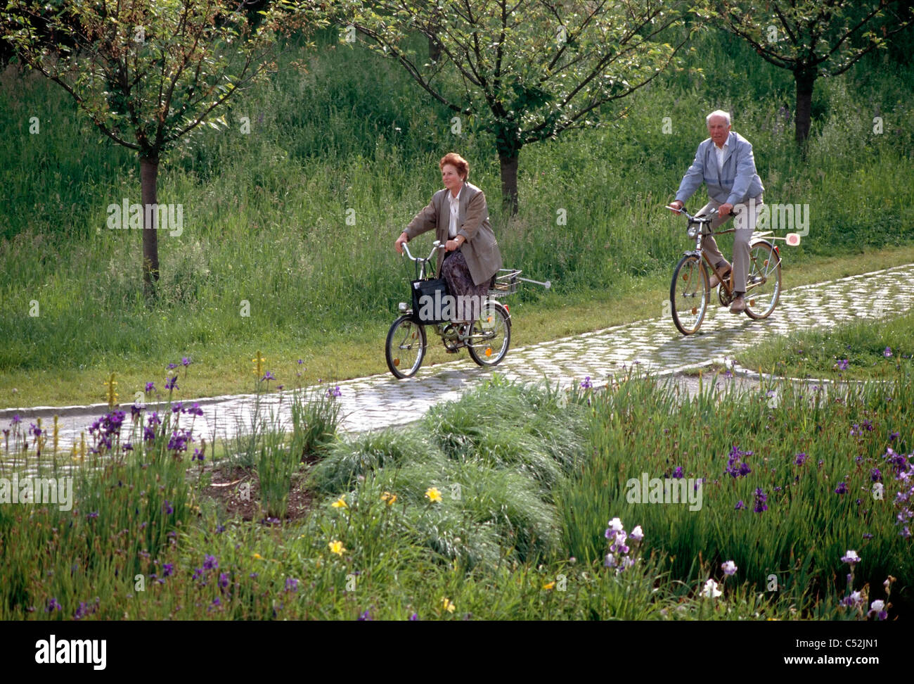 German Rinding Bycicles German family bike ride hi-res stock photography and images - Alamy