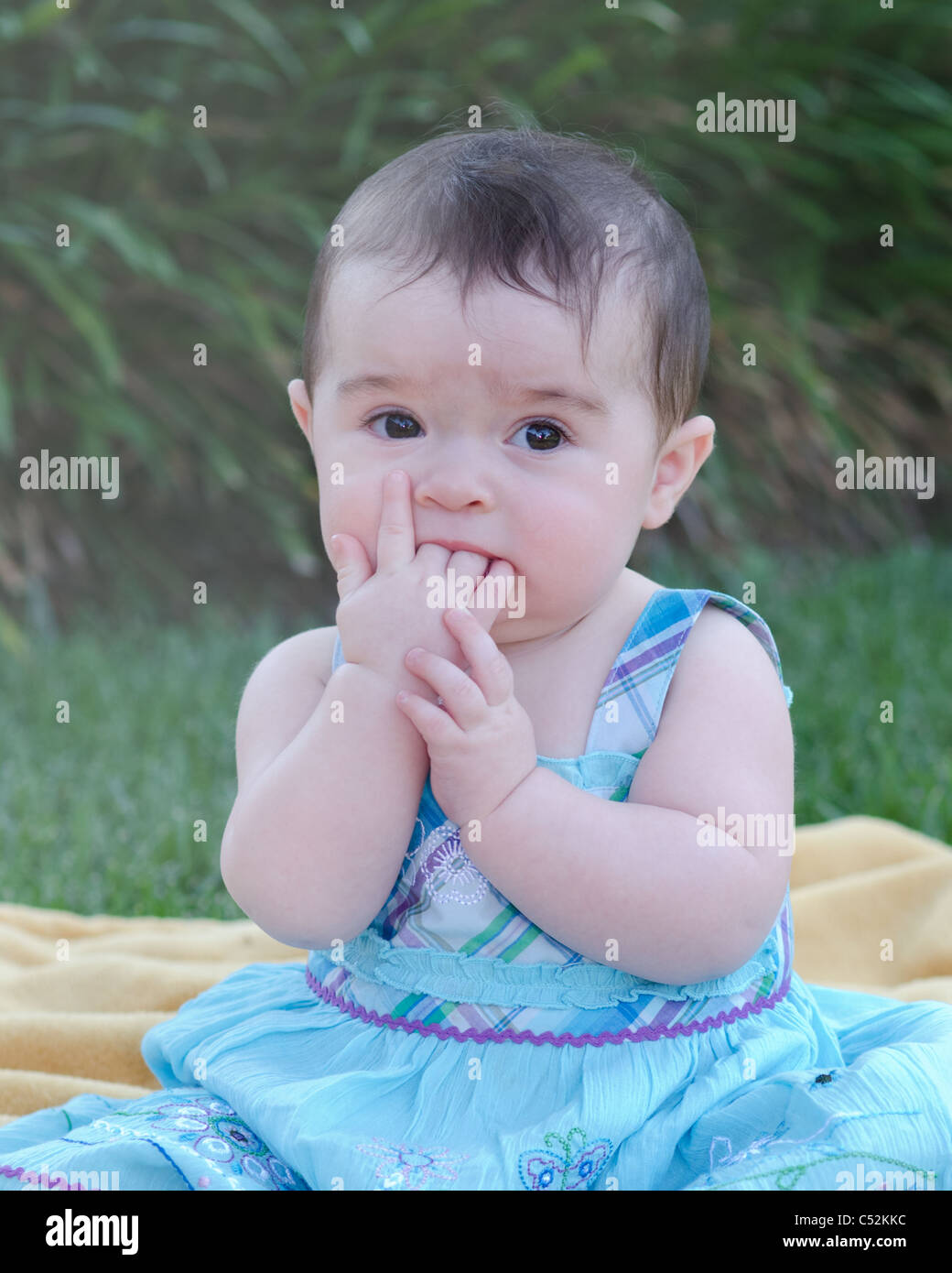 An eight month old Caucasian baby girl with fingers in her mouth while teething. Stock Photo