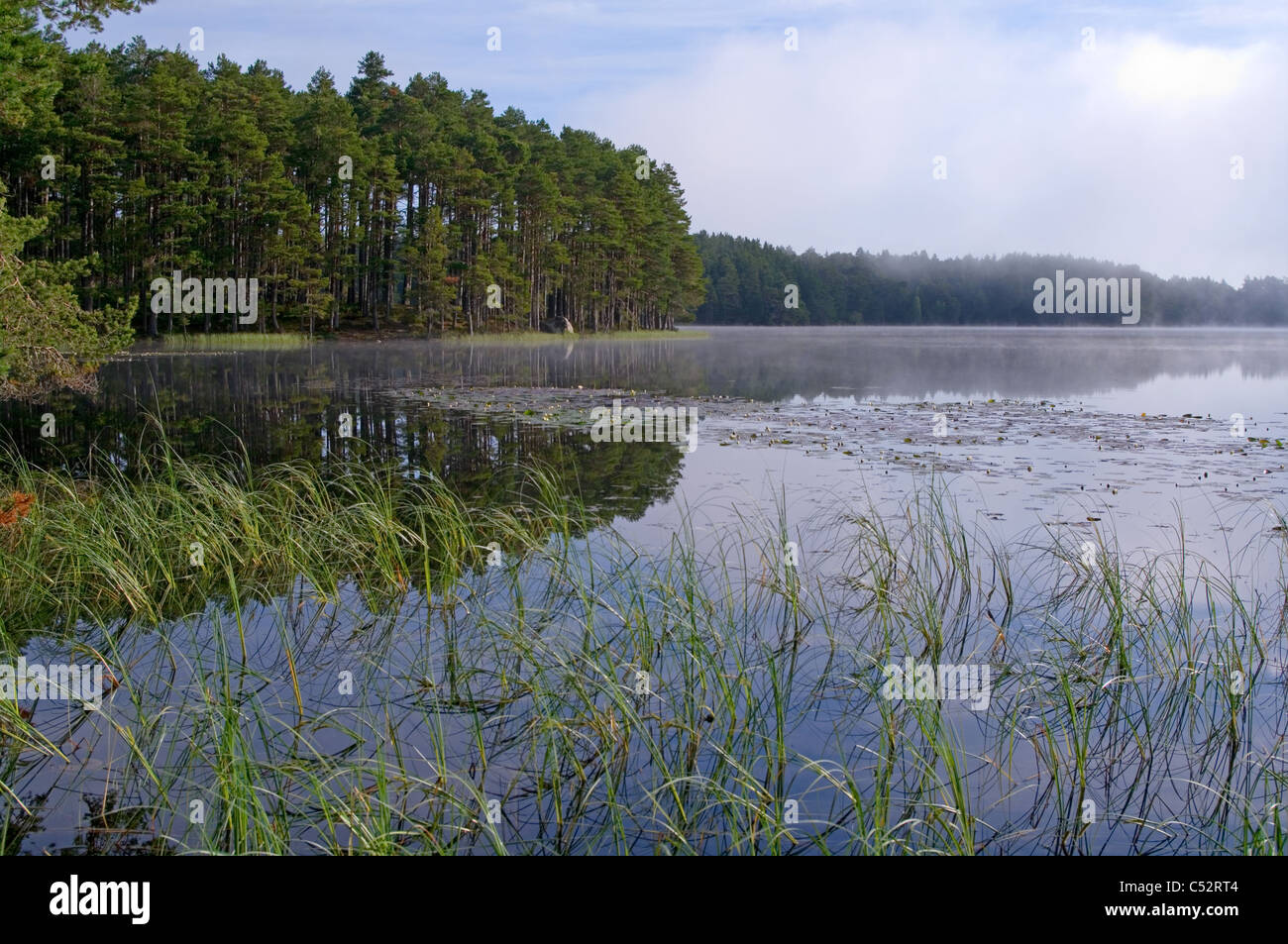 Loch Garten