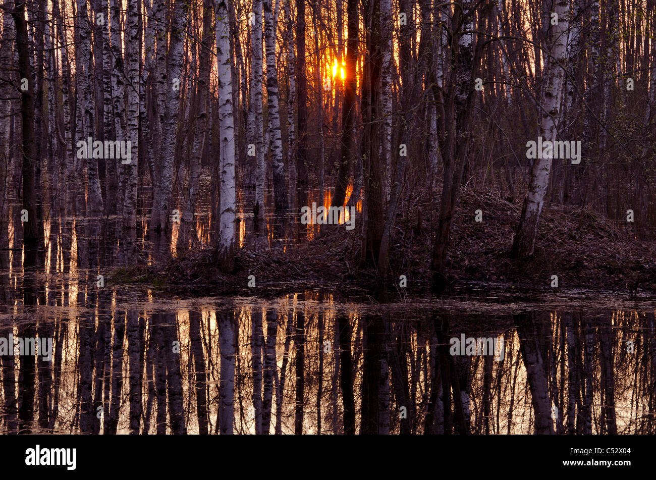 Beautiful spring sunset hi-res stock photography and images - Alamy