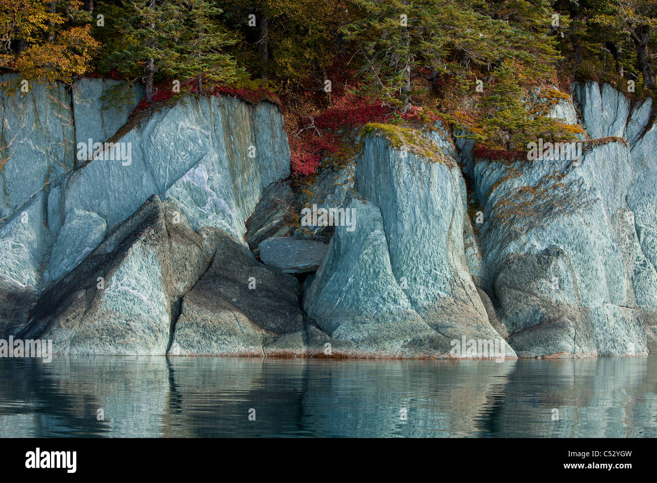 Fall colors line the cliffs along the shoreline of Tracy Arm-Fords Terror Wilderness, Alaska Stock Photo