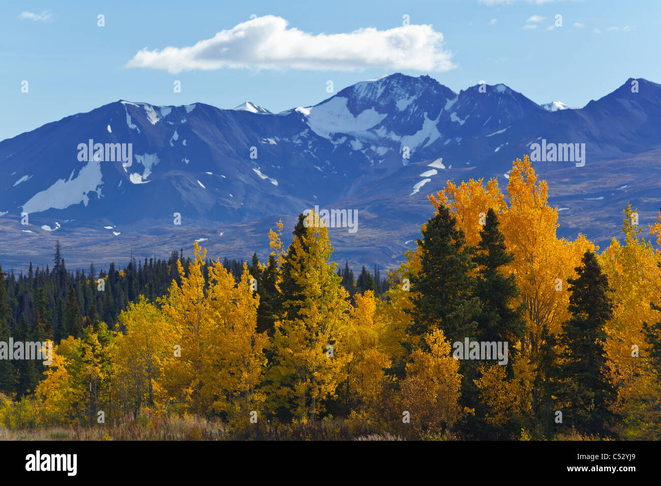 Yukon territory hires stock photography and images Alamy