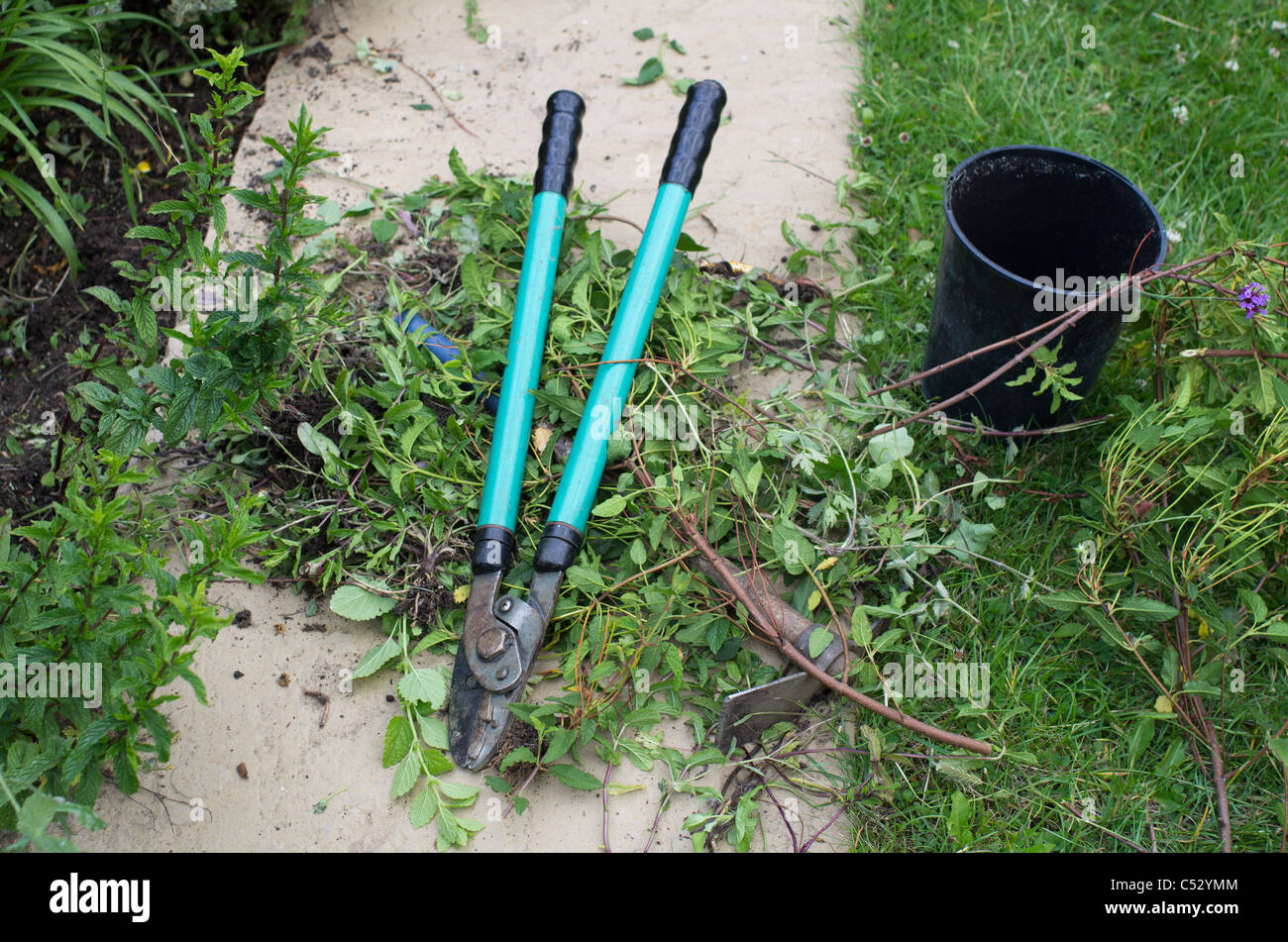 garden clippers croppers and clippings Stock Photo Alamy