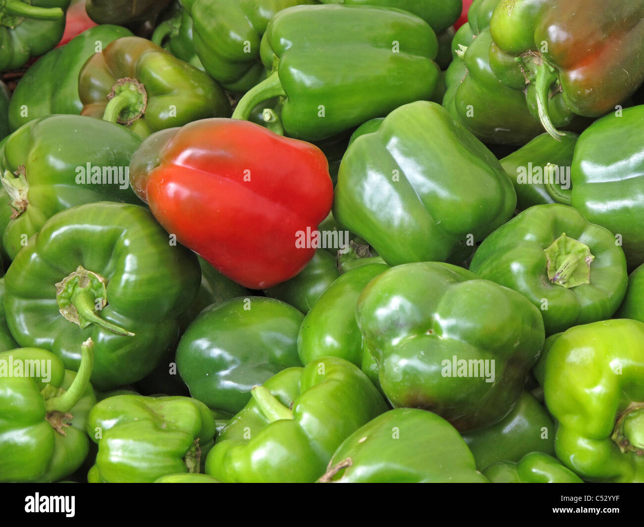 Red and green peppers Stock Photo - Alamy