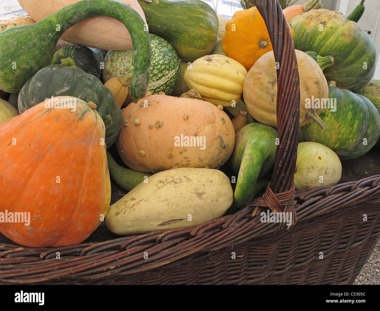 Basket of gourds Stock Photo Alamy