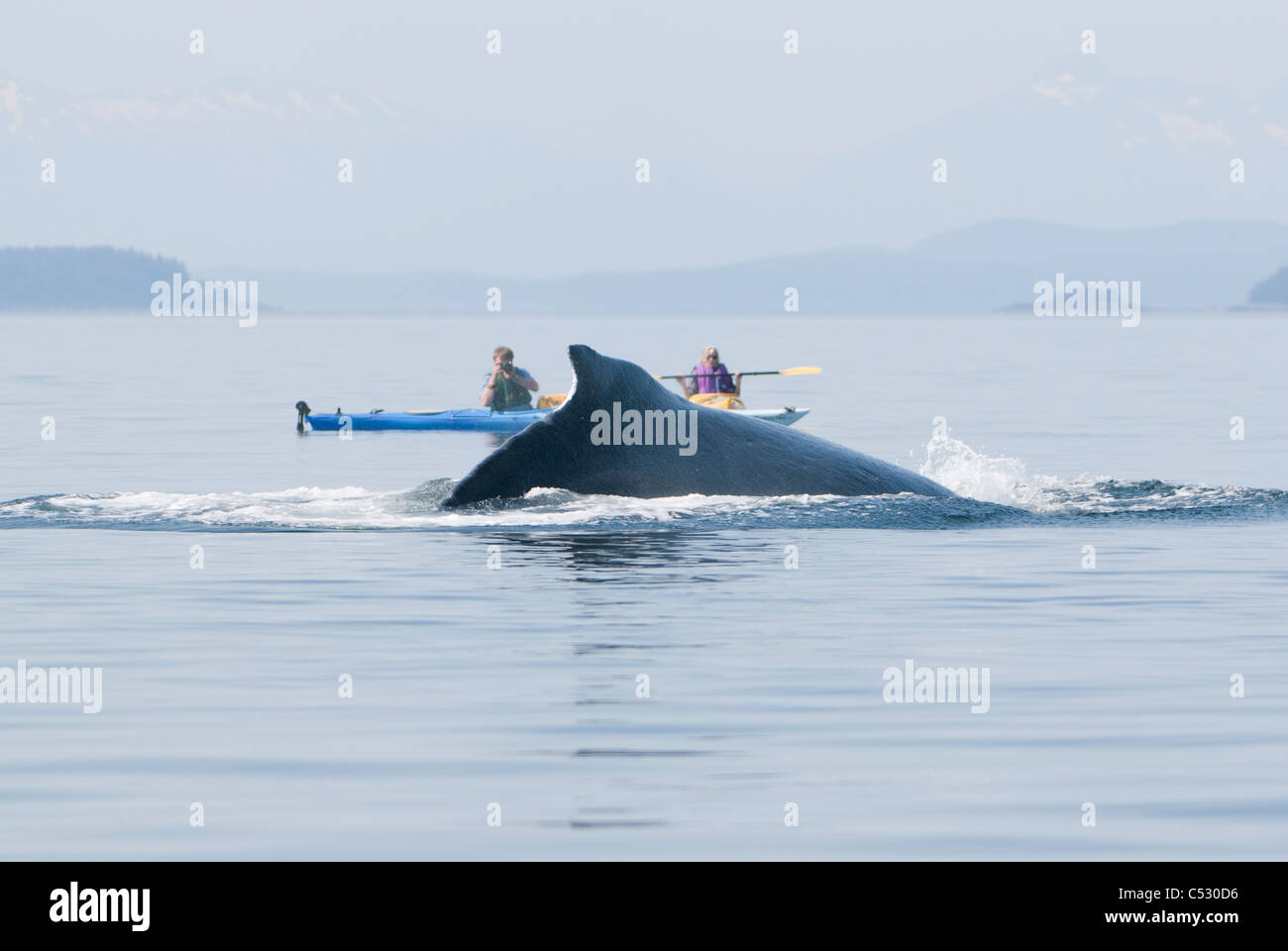 Humpback whale surfaces near sea kayakers in Frederick Sound, Inside Passage, Southeast Alaska, Summer Stock Photo