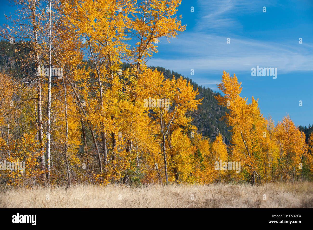 Fall autumn scenery hi-res stock photography and images - Alamy