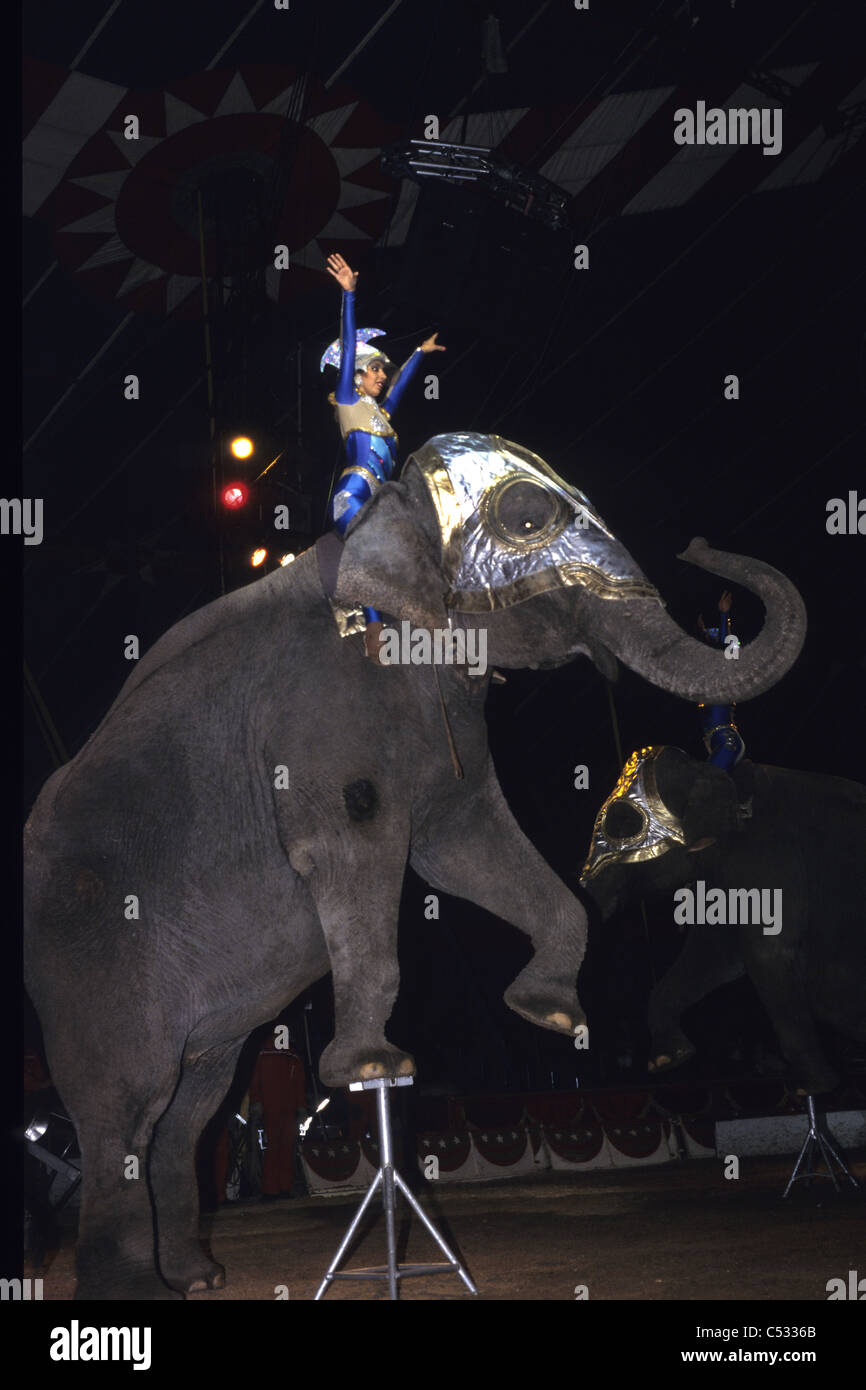 Performing animals in a traveling circus Stock Photo