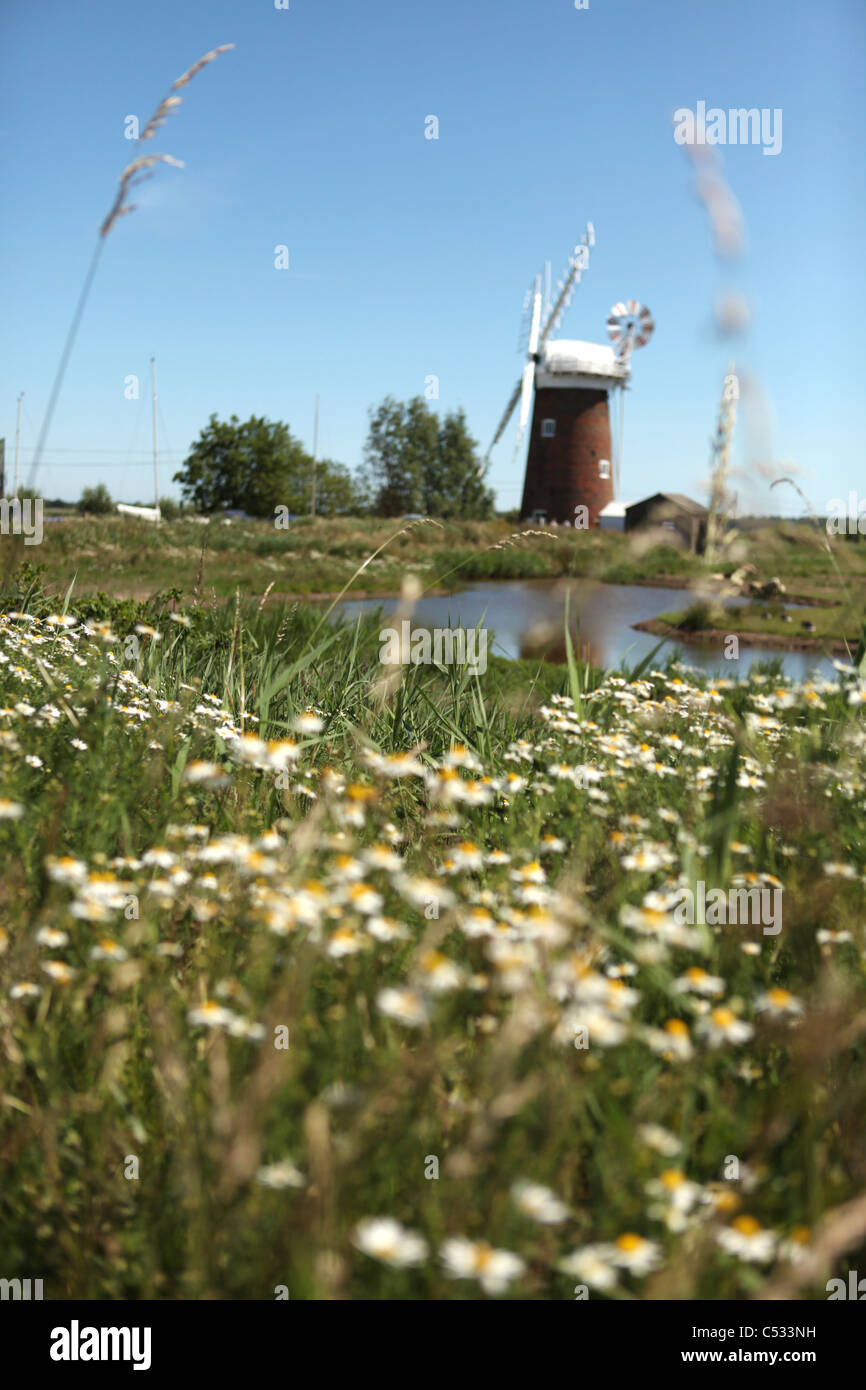 Horsey Mere Windpump, Horsey Staithe, Norfolk, UK Stock Photo Alamy
