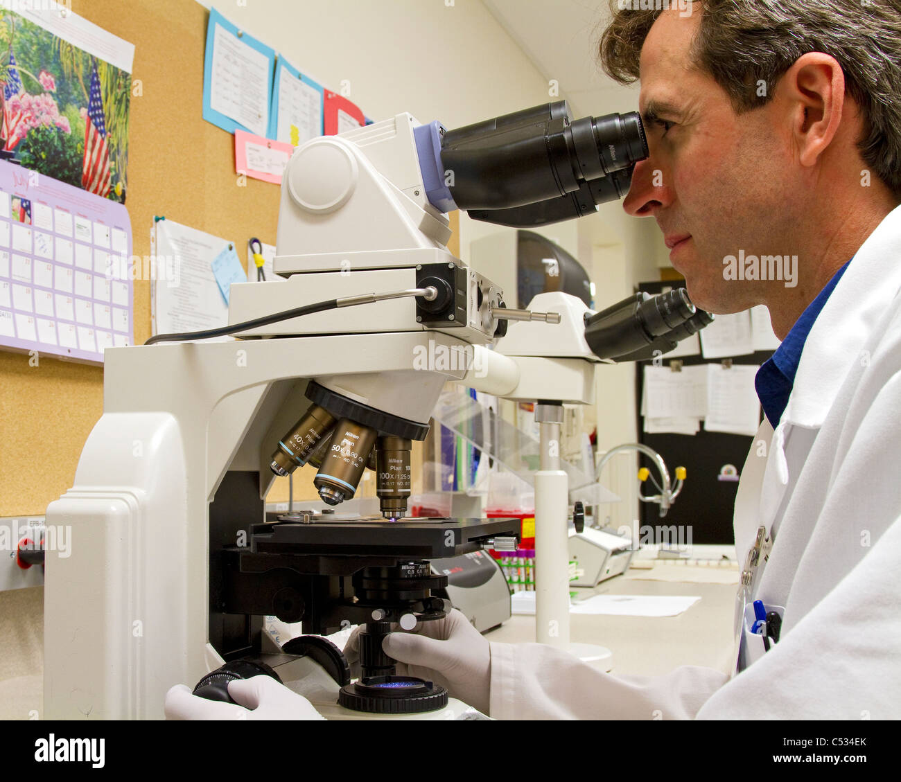 Laboratory scientist, laboratory technician, works on lab research using a microscope. Stock Photo