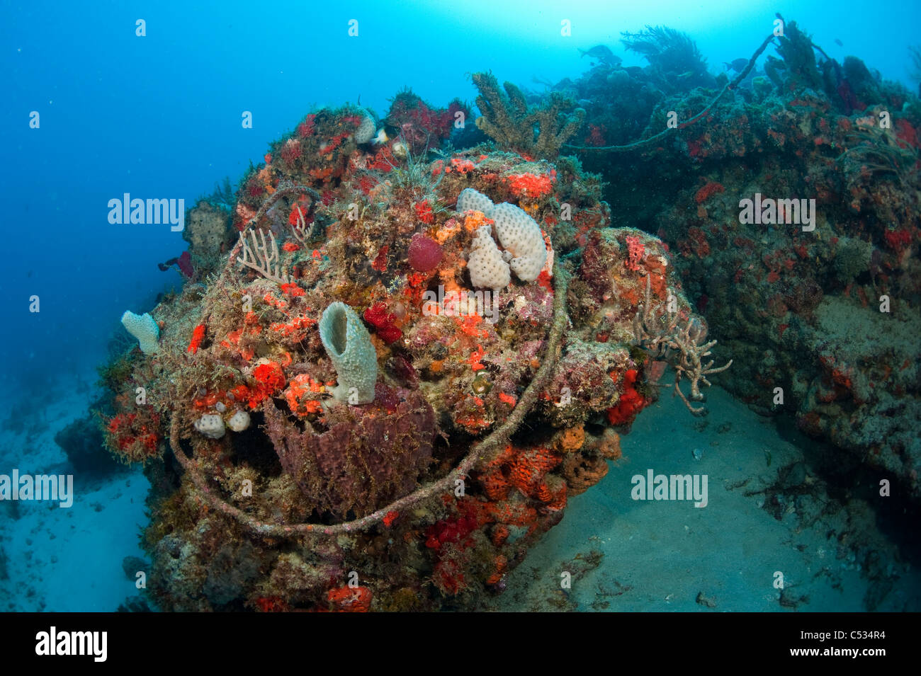Discarded rope and debris on a Palm Beach County, FL coral reef. This debris can break corals and sponges and trap sea animals Stock Photo