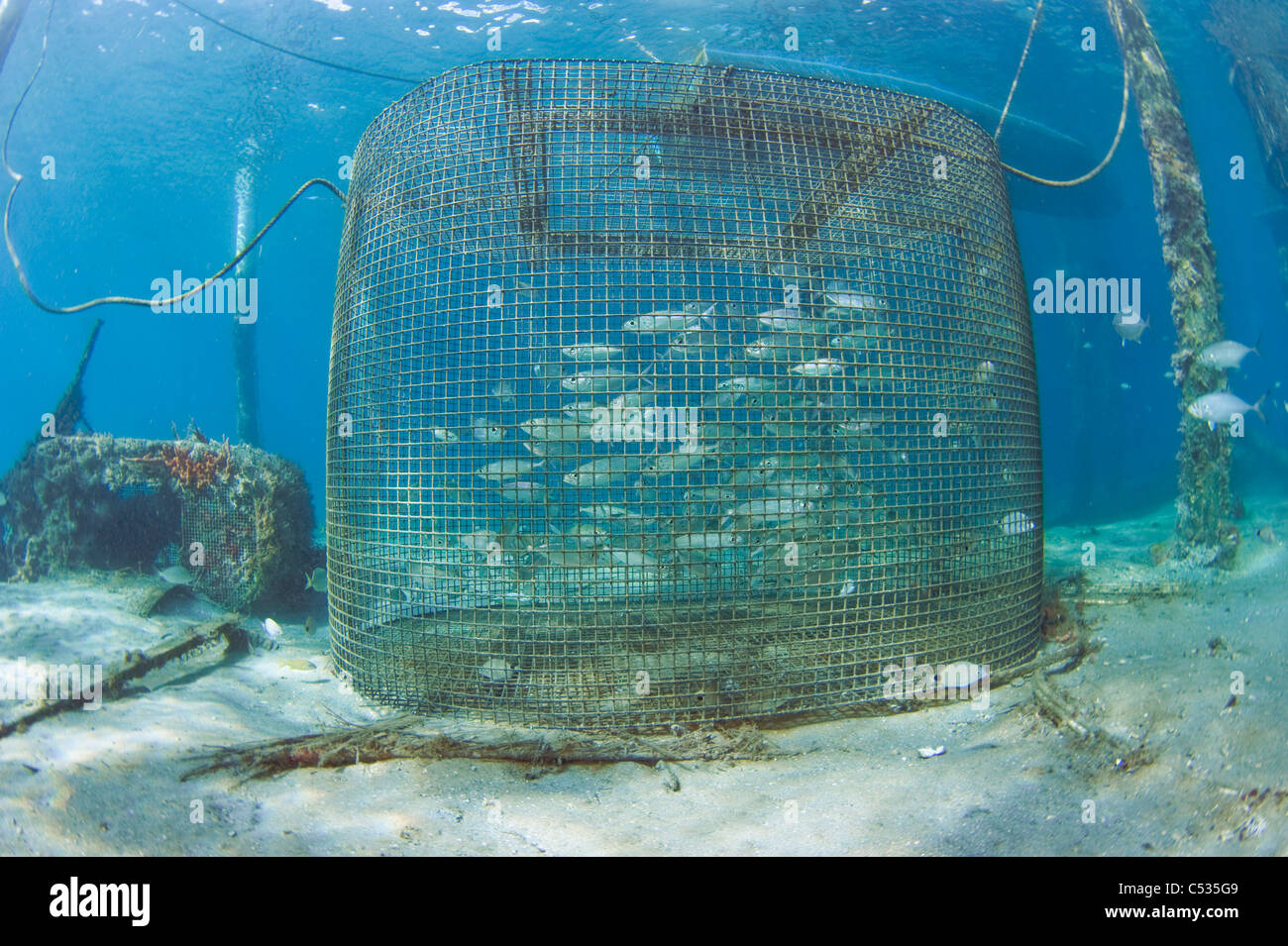 Metal cage underwater hires stock photography and images Alamy