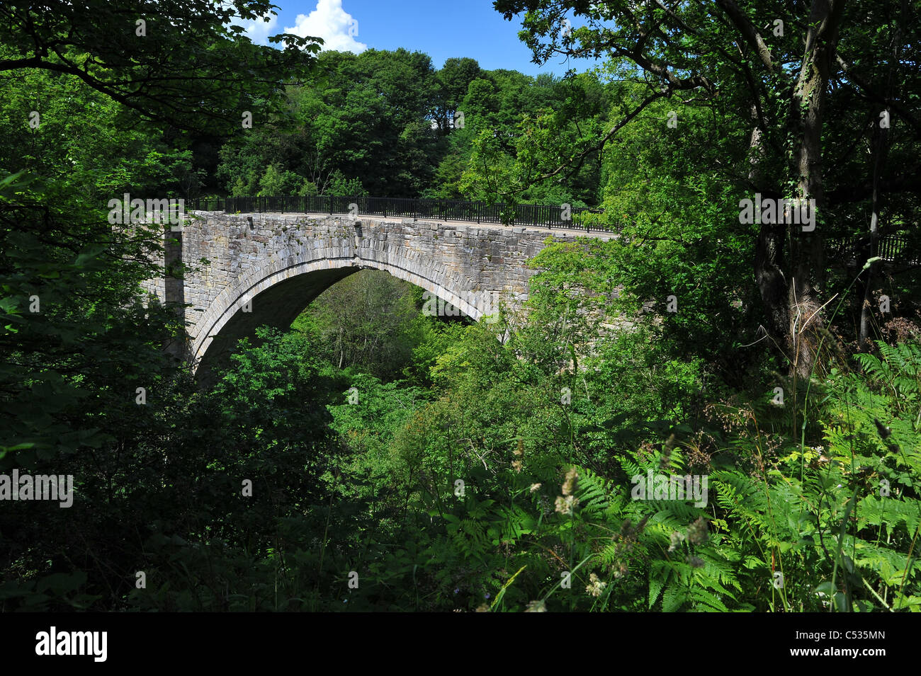 Causey Arch, the worlds oldest surviving railway bridge built in 1725 1726 Stock Photo