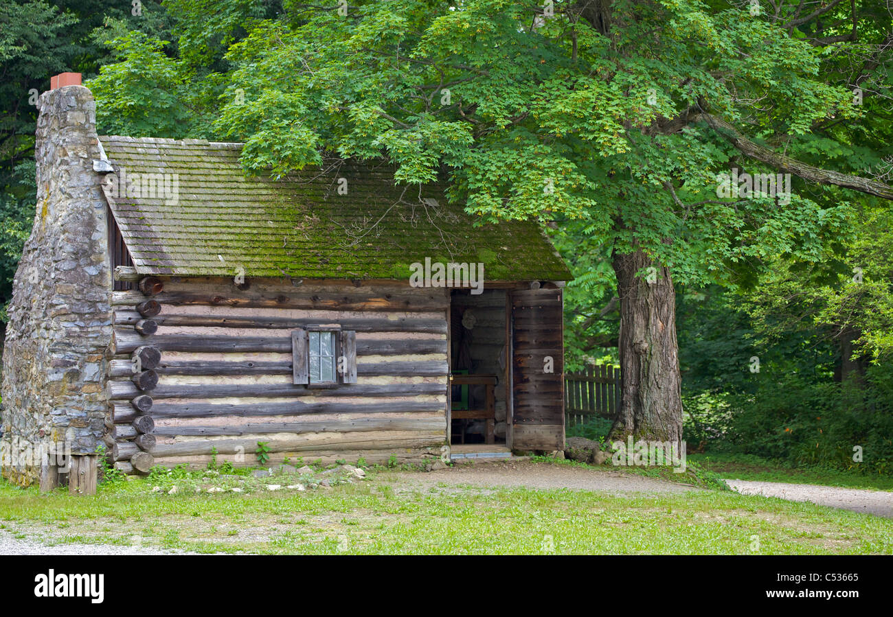 Rustic Log Cabin with Bright Green Moss on the Roof Stock Photo