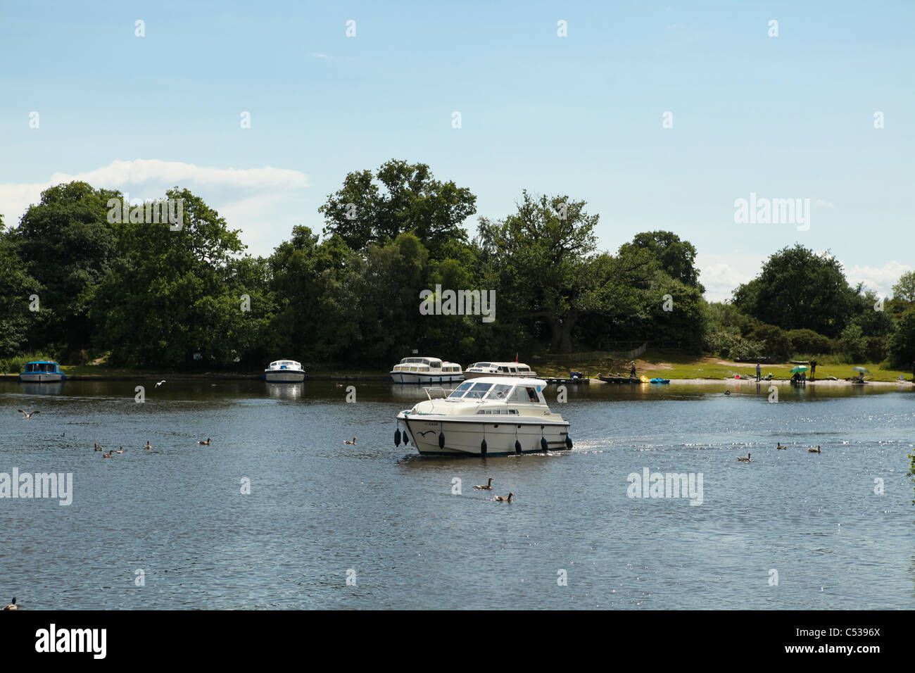 Broads cruiser sailing in Salhouse Broad, from the River Bure, Norfolk Broads, UK Stock Photo