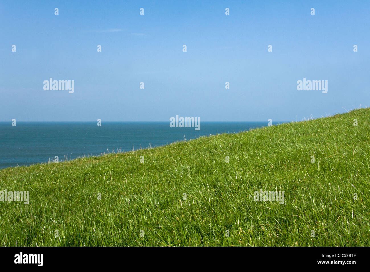 Blue sky, sea, and green grass Stock Photo