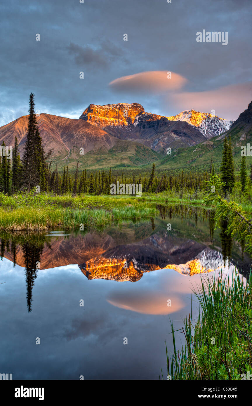 Reflection of Skookum Volcano in a pond near Nabesna Road at sunset in Wrangell St. Ellias National Park, Alaska, Summer Stock Photo