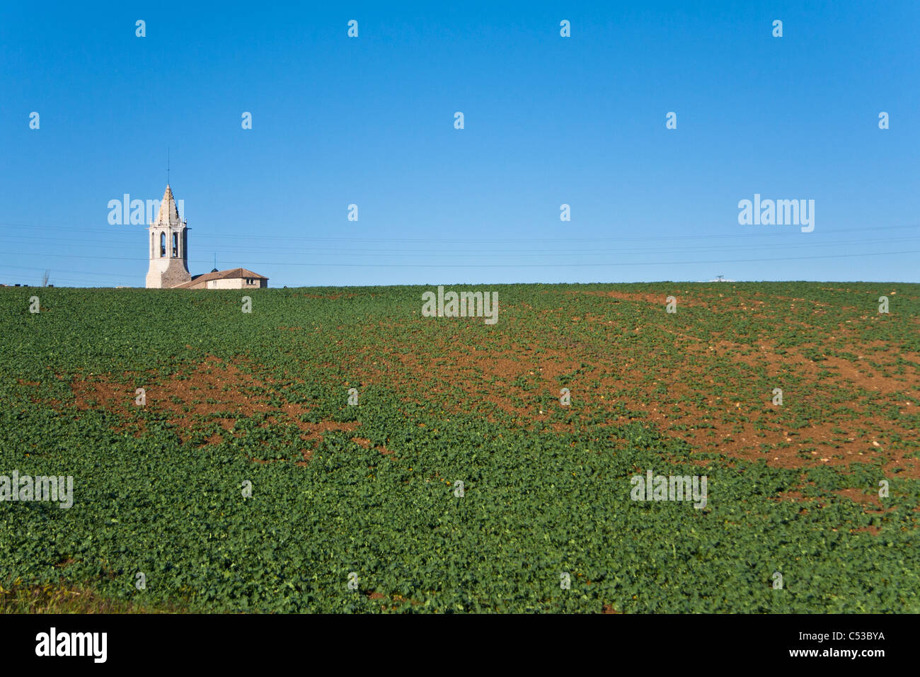 Church on a blue sky day behind a green field Stock Photo