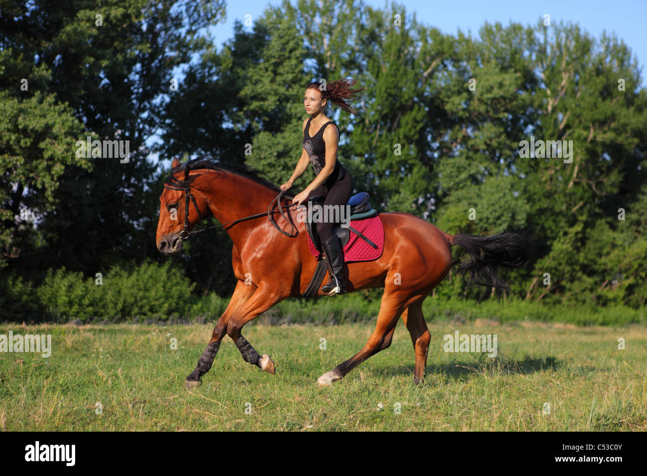 Rider and horse. Mensch auf Pferd Stock Photo