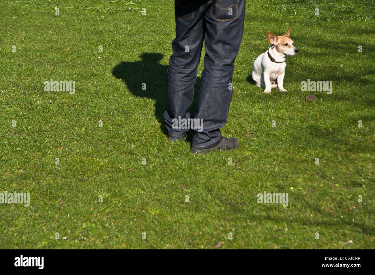 Man taking a dog for a walk Stock Photo
