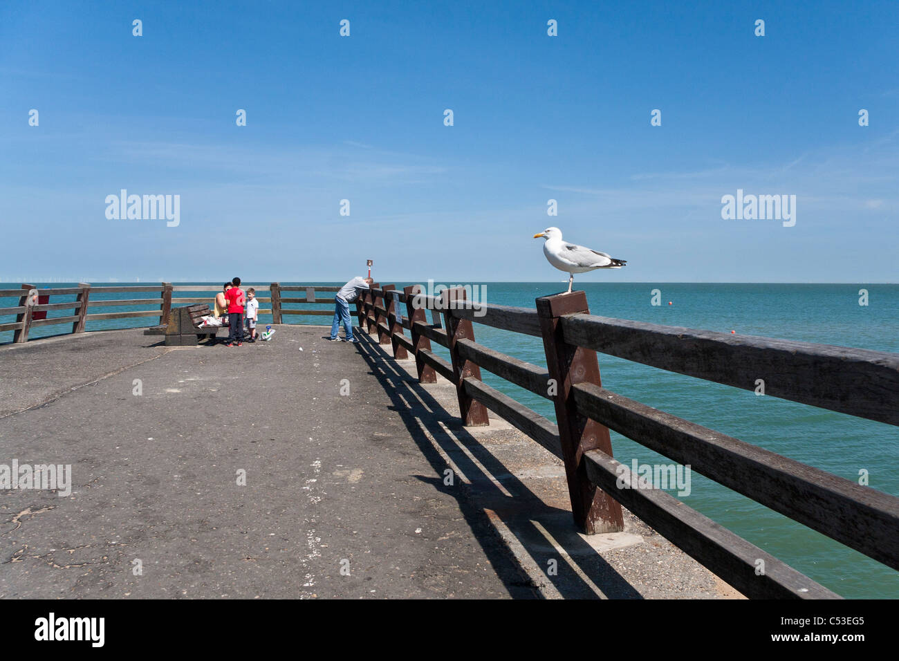People on a pier and seagull up front. Stock Photo