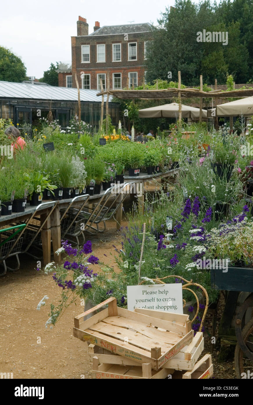 Petersham Nursery Richmond Surrey UK Stock Photo Alamy