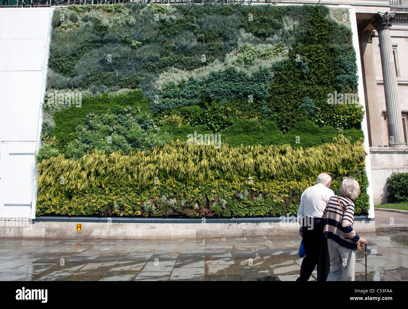 Living plant 'painting' outside National Gallery, London, based on Van Gogh's Wheatfield With Cypresses Stock Photo
