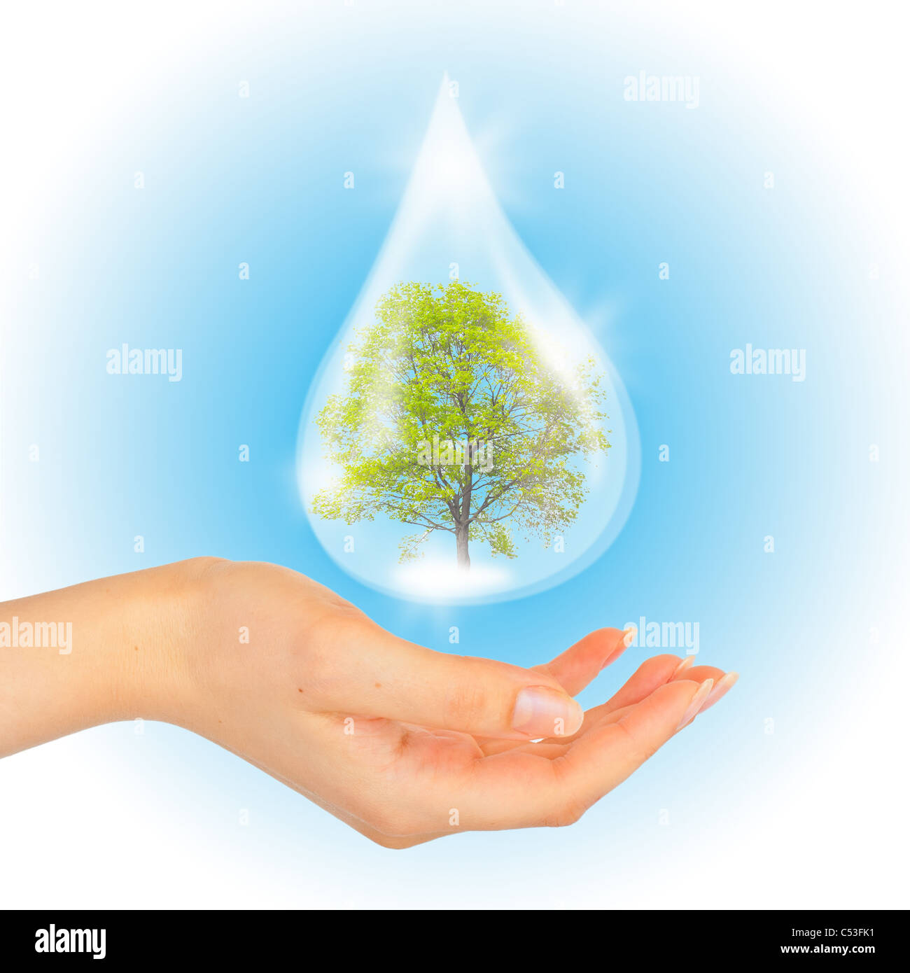 Drop of water with Tree inside and hand. The symbol of Save Green Planet. Stock Photo