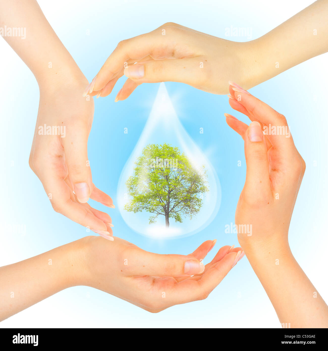 Drop of water with Tree inside and hands. The symbol of Save Green Planet. Stock Photo